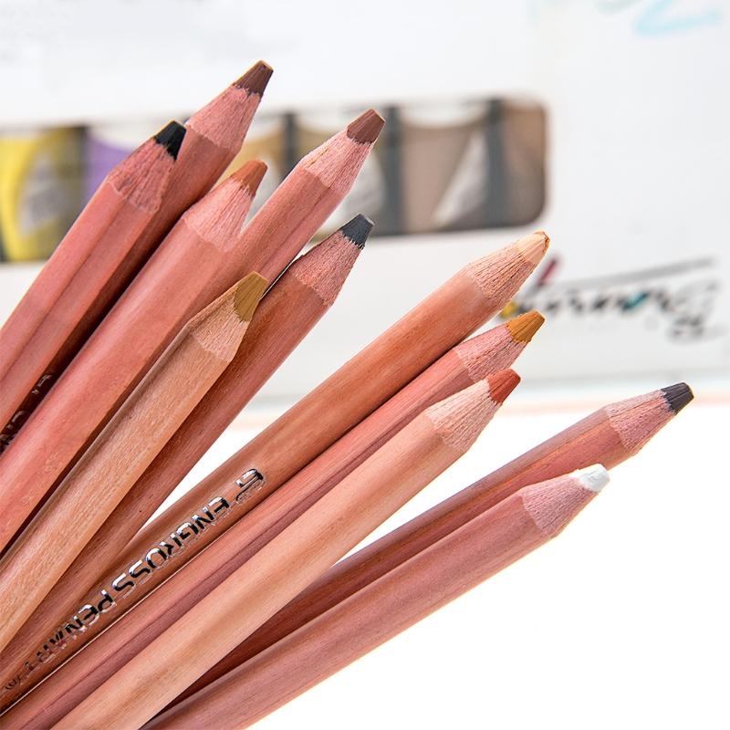 Colored Pencil Professional - 12 قطعة أقلام باستيل ناعمة احترافية